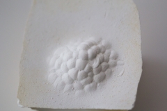 p#_15_03__#014_a_sp_