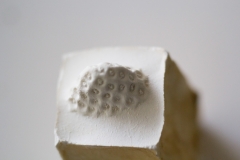 p#_15_03__#069_f_bu_